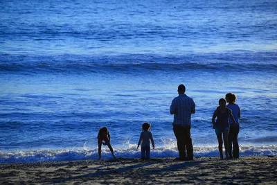 DSC_1247 (Large).JPG